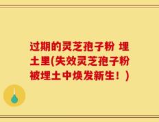 过期的灵芝孢子粉 埋土里(失效灵芝孢子粉被埋土中焕发新生！)
