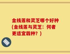 金线莲和灵芝哪个好种(金线莲与灵芝：何者更适宜栽种？)