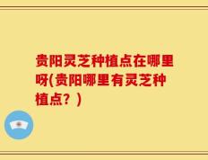 贵阳灵芝种植点在哪里呀(贵阳哪里有灵芝种植点？)
