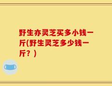 野生亦灵芝买多小钱一斤(野生灵芝多少钱一斤？)