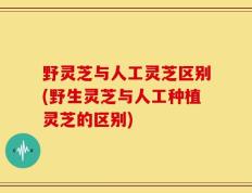野灵芝与人工灵芝区别(野生灵芝与人工种植灵芝的区别)