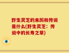 野生灵芝的来历和传说是什么(野生灵芝：传说中的长寿之草)