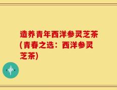 造养青年西洋参灵芝茶(青春之选：西洋参灵芝茶)