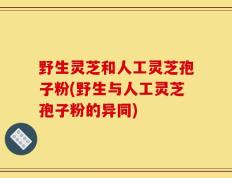野生灵芝和人工灵芝孢子粉(野生与人工灵芝孢子粉的异同)