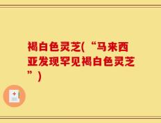 褐白色灵芝(“马来西亚发现罕见褐白色灵芝”)