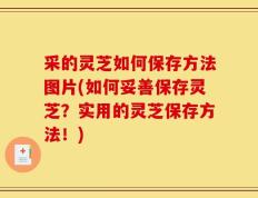 采的灵芝如何保存方法图片(如何妥善保存灵芝？实用的灵芝保存方法！)