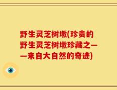 野生灵芝树墩(珍贵的野生灵芝树墩珍藏之——来自大自然的奇迹)