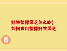 野生整棵灵芝怎么吃(如何食用整体野生灵芝