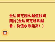 金边灵芝越久越值钱吗图片(金边灵芝越陈越香，价值水涨船高！)
