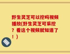 野生灵芝可以挖吗视频播放(野生灵芝可采挖？看这个视频就知道了！)