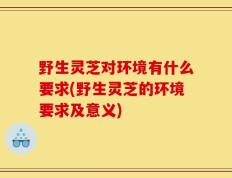 野生灵芝对环境有什么要求(野生灵芝的环境要求及意义)