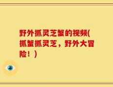 野外抓灵芝蟹的视频(抓蟹抓灵芝，野外大冒险！)