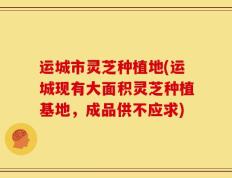 运城市灵芝种植地(运城现有大面积灵芝种植基地，成品供不应求)