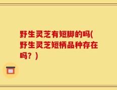 野生灵芝有短脚的吗(野生灵芝短柄品种存在吗？)