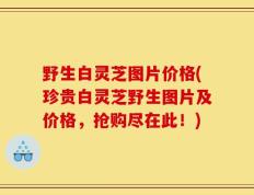 野生白灵芝图片价格(珍贵白灵芝野生图片及价格，抢购尽在此！)
