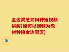 金边灵芝如何种殖视频讲解(如何以视频为教材种植金边灵芝)