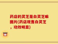 药店的灵芝是白灵芝嘛图片(药店现售白灵芝，功效明显)