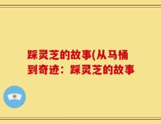 踩灵芝的故事(从马桶到奇迹：踩灵芝的故事