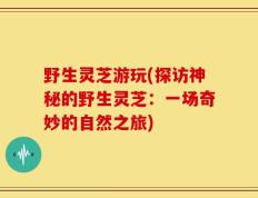 野生灵芝游玩(探访神秘的野生灵芝：一场奇妙的自然之旅)