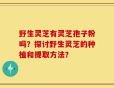 野生灵芝有灵芝孢子粉吗？探讨野生灵芝的种植和提取方法？