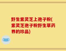 野生紫灵芝上孢子粉(紫灵芝孢子粉野生草药界的珍品)