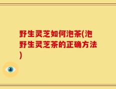 野生灵芝如何泡茶(泡野生灵芝茶的正确方法)
