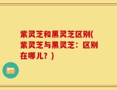 紫灵芝和黑灵芝区别(紫灵芝与黑灵芝：区别在哪儿？)
