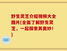 野生灵芝介绍视频大全图片(全面了解野生灵芝，一起探索其奥妙！)