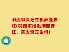 羽西家灵芝生机渐变腮红(羽西家推出渐变腮红，富含灵芝生机)