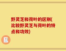 野灵芝和荷叶的区别(比较野灵芝与荷叶的特点和功效)