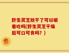 野生灵芝放干了可以嚼着吃吗(野生灵芝干燥后可口可食吗？)