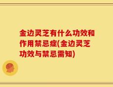 金边灵芝有什么功效和作用禁忌症(金边灵芝功效与禁忌需知)