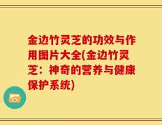 金边竹灵芝的功效与作用图片大全(金边竹灵芝：神奇的营养与健康保护系统)