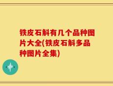 铁皮石斛有几个品种图片大全(铁皮石斛多品种图片全集)