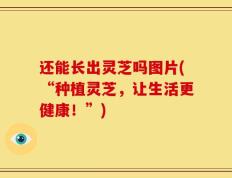 还能长出灵芝吗图片(“种植灵芝，让生活更健康！”)