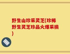 野生山珍采灵芝(珍稀野生灵芝珍品火爆采摘)