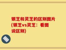银芝和灵芝的区别图片(银芝vs灵芝：看图说区别)