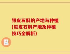 铁皮石斛的产地与种植(铁皮石斛产地及种植技巧全解析)