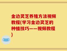 金边灵芝养殖方法视频教程(学习金边灵芝的种植技巧——视频教程)