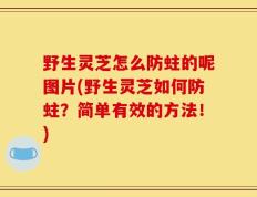 野生灵芝怎么防蛀的呢图片(野生灵芝如何防蛀？简单有效的方法！)