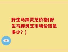 野生马蹄灵芝价格(野生马蹄灵芝市场价钱是多少？)