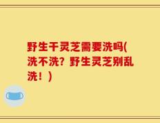 野生干灵芝需要洗吗(洗不洗？野生灵芝别乱洗！)