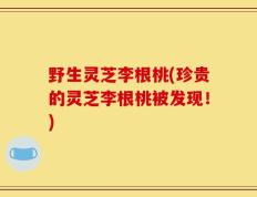 野生灵芝李根桃(珍贵的灵芝李根桃被发现！)