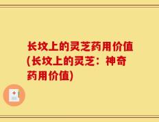 长坟上的灵芝药用价值(长坟上的灵芝：神奇药用价值)