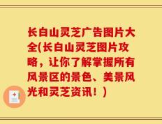 长白山灵芝广告图片大全(长白山灵芝图片攻略，让你了解掌握所有风景区的景色、美景风光和灵芝资讯！)
