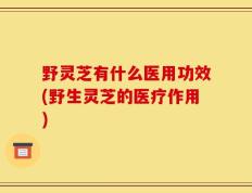野灵芝有什么医用功效(野生灵芝的医疗作用)