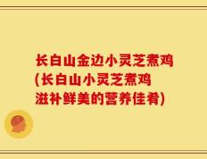 长白山金边小灵芝煮鸡(长白山小灵芝煮鸡 滋补鲜美的营养佳肴)