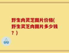 野生肉灵芝图片价格(野生灵芝肉图片多少钱？)