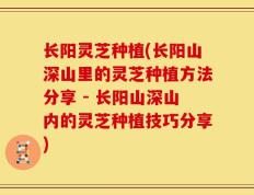 长阳灵芝种植(长阳山深山里的灵芝种植方法分享 - 长阳山深山内的灵芝种植技巧分享)