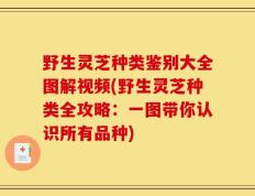 野生灵芝种类鉴别大全图解视频(野生灵芝种类全攻略：一图带你认识所有品种)